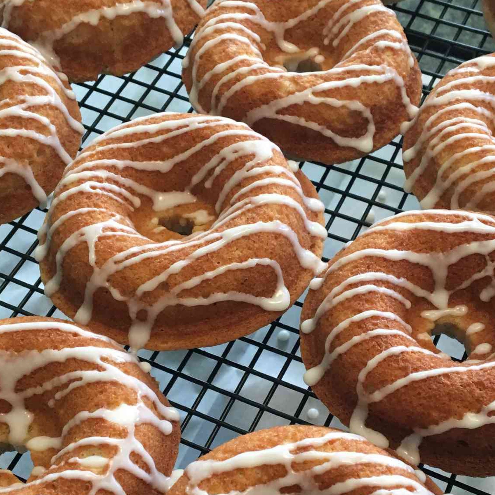 Donut (VEGAN) RASPBERRY CHOCOLATE White Heron Maine